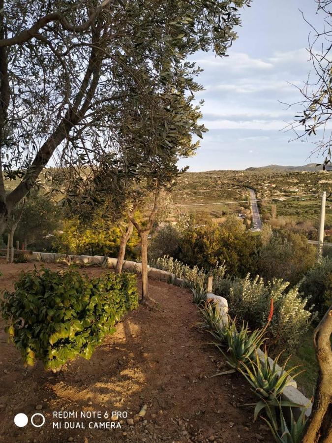 Monolocale Belvedere Su Porto Rotondo Cugnana Εξωτερικό φωτογραφία
