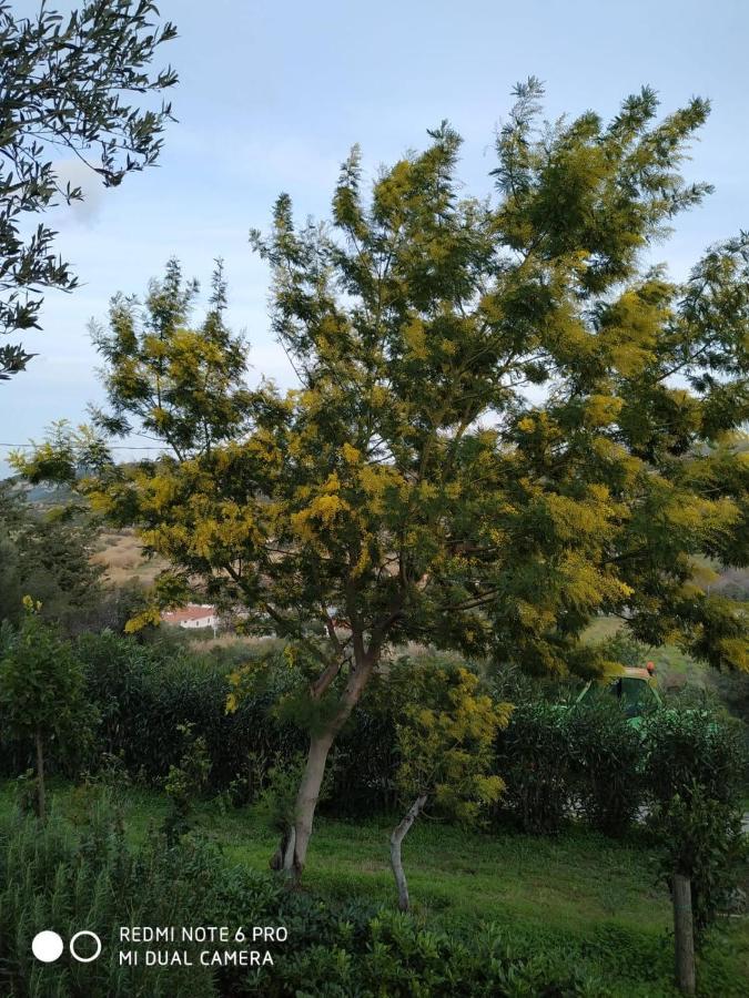Monolocale Belvedere Su Porto Rotondo Cugnana Εξωτερικό φωτογραφία