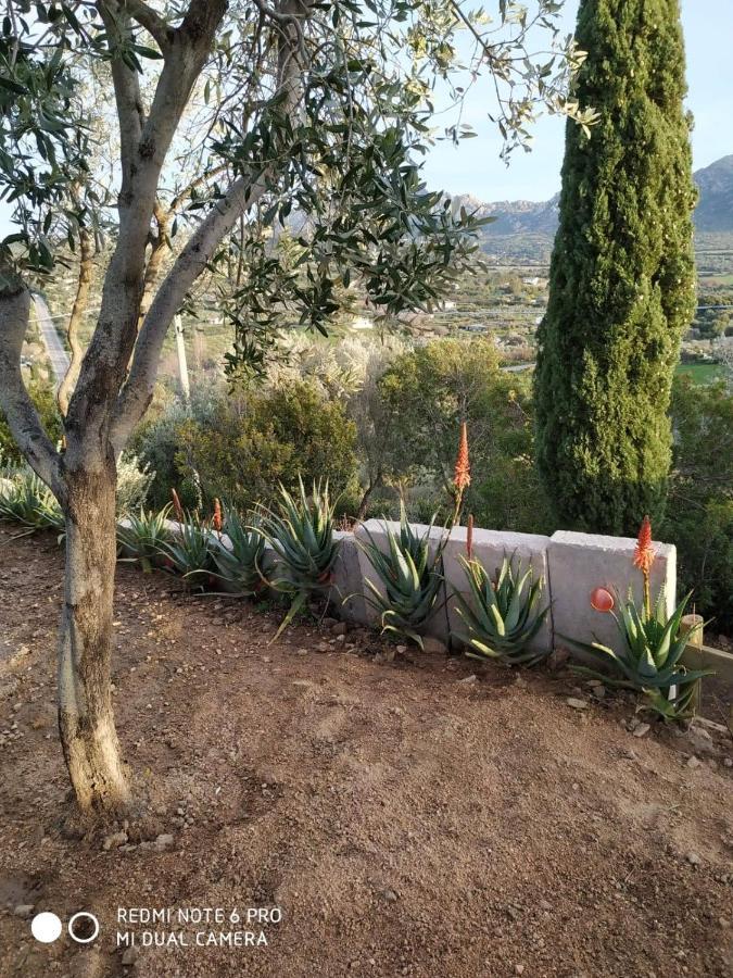Monolocale Belvedere Su Porto Rotondo Cugnana Εξωτερικό φωτογραφία